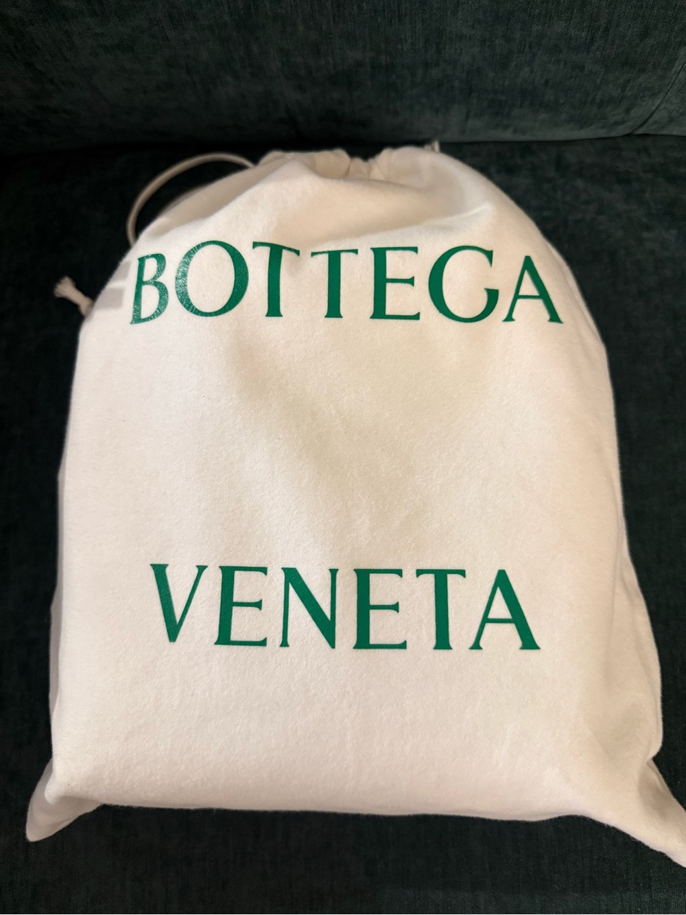 Bottega Veneta Small Loop Camera Bag – Ice Cream Intrecciato Leather – Gold Knot - Picture 6 of 6